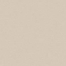 Керамогранит Rainbow Керамогранит 60x60x10 rw 01 60x60 Непол.Рект. (Керамический гранит) фото 1 | FLOORDEALER